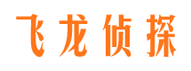 曲麻莱市侦探公司